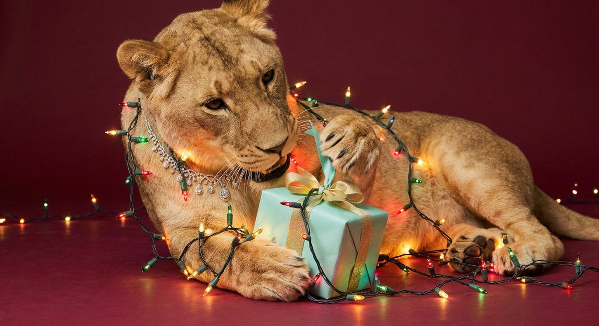 Leo's 2026 Christmas gift guide for her