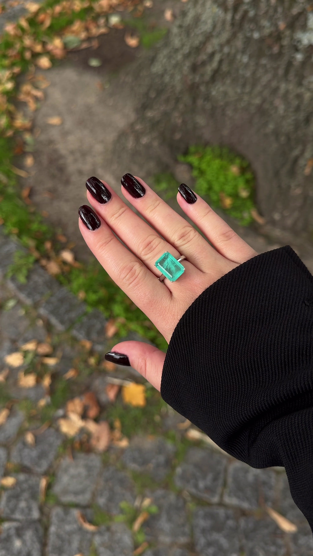 Laguna Ring
